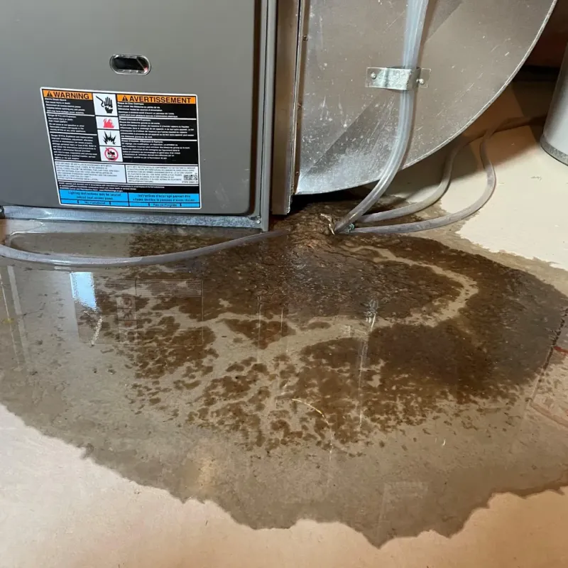 Appliance Leak Cleanup in Hilo, HI