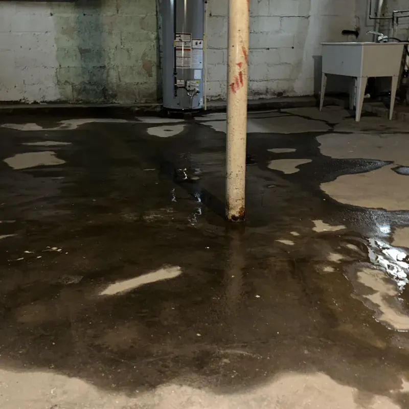 Emergency Water Extraction And Removal in Hilo, HI